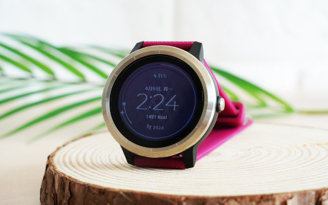 vivoactive 3t
